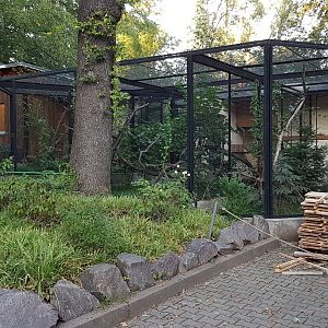 Gordon's wildcat exhibit