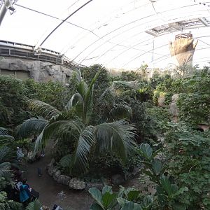 View of Monsoon Forest bird walk-through