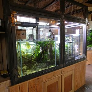 Vivariums in Orangutan viewing area (2)