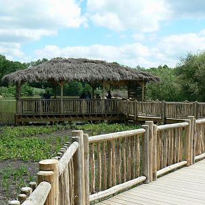 Le Pal - Common hippos lake viewing plateform
