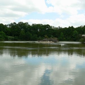 Le Pal - Common hippos lake central view