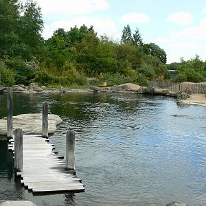 Le Pal - Eastern atlantic harbour seals exhibit