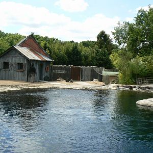 Le Pal - Eastern atlantic harbour seals exhibit
