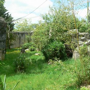 Le Pal - Sri Lankan leopards enclosure