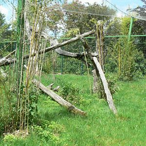 Le Pal - Sri Lankan leopards enclosure