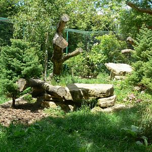 Le Pal - Northen lynx enclosure