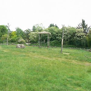Le Pal - Rotshchild's giraffes enclosure