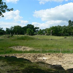 Le Pal - Indian elephants exhibit