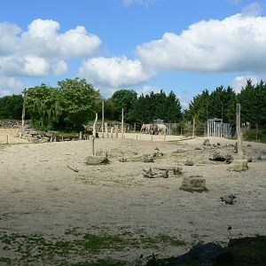 Le Pal - Indian elephants exhibit
