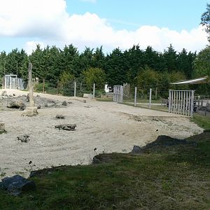 Le Pal - Indian elephants exhibit