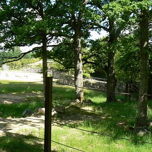 Le Pal - Indian elephants exhibit