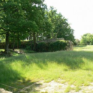 Le Pal - Indian elephants exhibit
