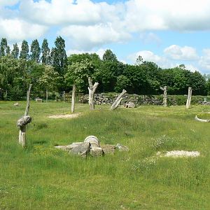 Le Pal - Indian elephants exhibit