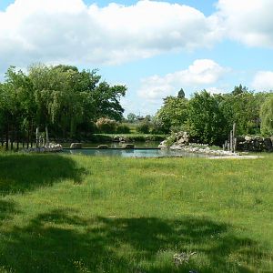 Le Pal - Indian elephants exhibit