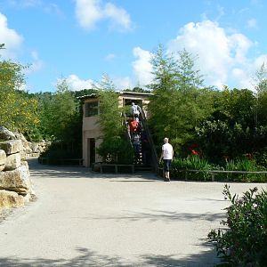Le Pal - Sumatran tigers exhibit viewing point