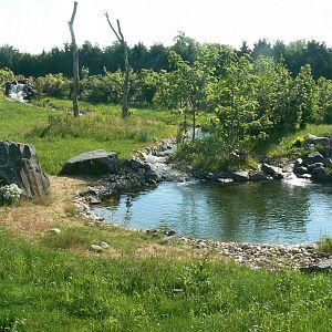 Le Pal - Sumatran tigers exhibit