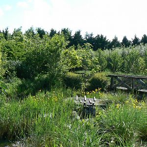 Le Pal - Sumatran tigers exhibit's natural edges