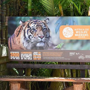 Tiger Temple - Signage Example