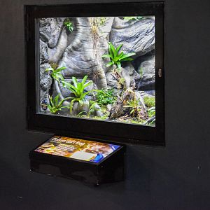 Poison Dart Frog Enclosure