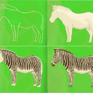 Grevy's Zebra process