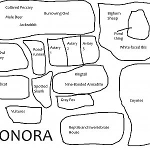 Sonora Complex Thing