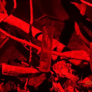 The pipe which has mealworms and other stuffs inside to feed an aye-aye at Taipei Zoo, Taiwan.