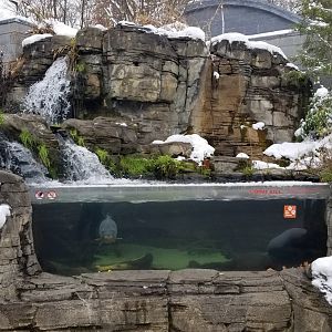 PPG Aquarium - outside tank