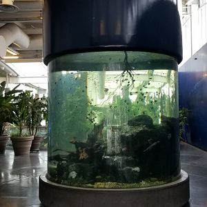 PPG Aquarium - entry tank