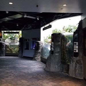 PPG Aquarium - first hallway