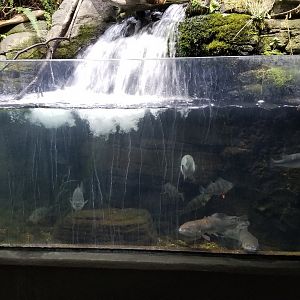 PPG Aquarium - freshwater tank