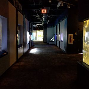 PPG Aquarium - 2nd hallway