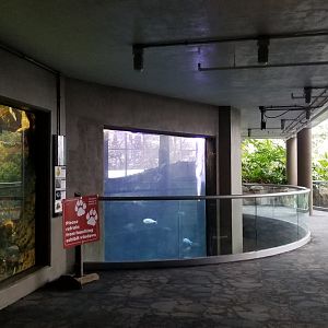 PPG Aquarium - first view of shark tank