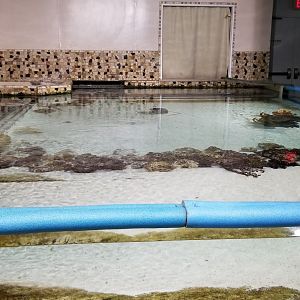 PPG Aquarium - shallow tank