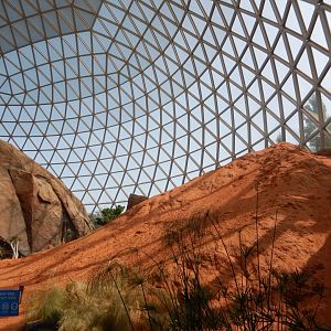 9/14/2020 - First Impressions of the Namib