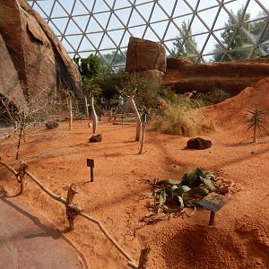 9/14/2020 - Namib's Plant Life