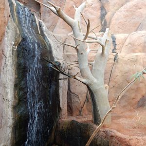 9/14/2020 - Waterfall