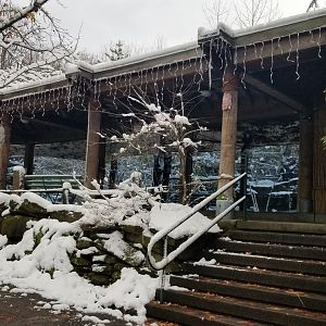 Pittsburgh Zoo - red panda and komodo exhibits