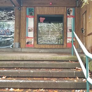 Pittsburgh Zoo - Red panda