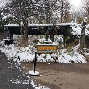 Pittsburgh Zoo - Leopard