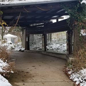 Pittsburgh Zoo - Leopard