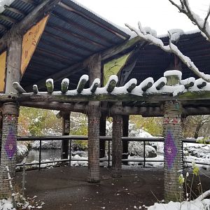 Pittsburgh Zoo - Outdoor elephant viewing area