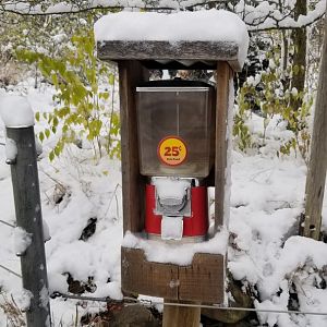 Pittsburgh Zoo - Feed fish in giraffe pond