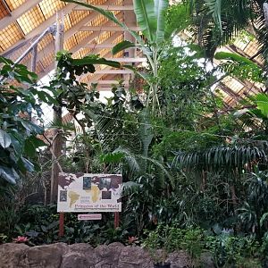 Pittsburgh Zoo - First view inside primate building