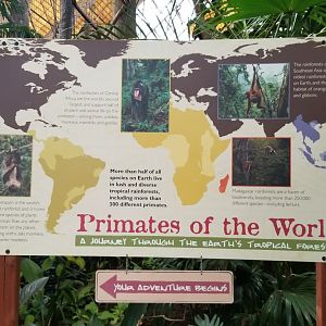 Pittsburgh Zoo - primates of the world sign