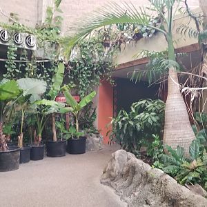 Pittsburgh Zoo - path to first primate exhibit