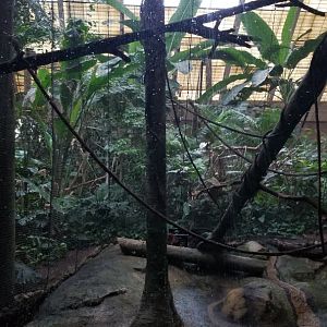 Pittsburgh Zoo - Sloth/cottontop/white-faced saki exhibit