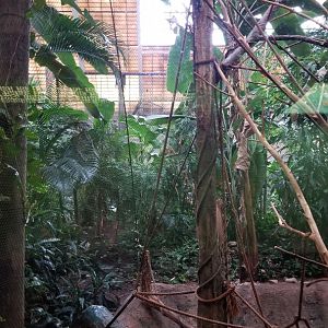 Pittsburgh Zoo - Angolan colobus