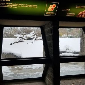 Pittsburgh Zoo - Outdoor gorilla viewing