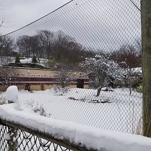 Pittsburgh Zoo - Cheetah yard