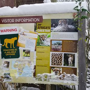 Pittsburgh Zoo - Cheetah sign